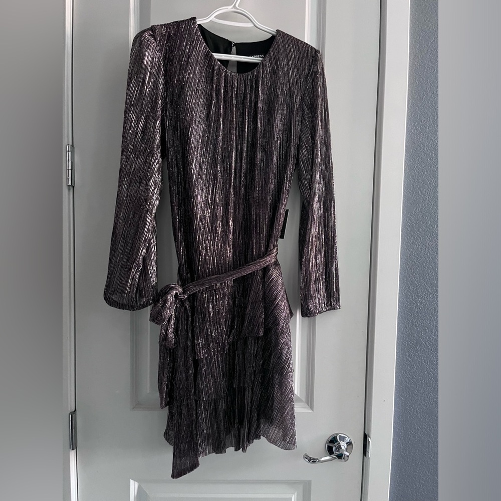 Express- Shimmer party dress